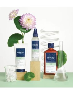 PHYTO Volume Champú 250 ml 2