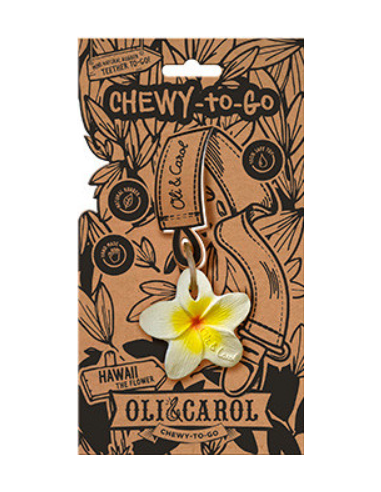 OLI&CAROL HAWAII the flower