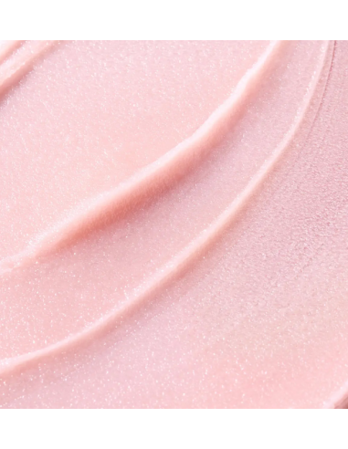 NUXE VERY ROSE bálsamo hidratante de labios  15 g