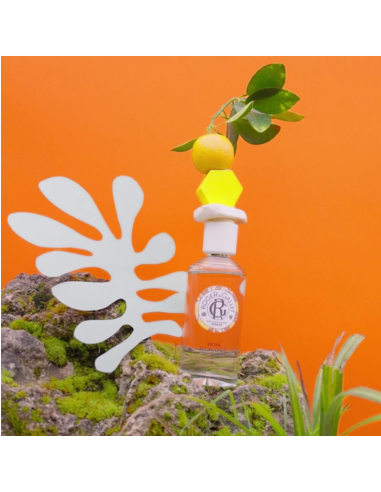 ROGER&GALLET agua de colonia BOIS D'ORANGE 100 ml