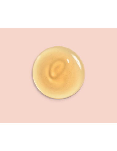 LIERAC PHYTOLASTIL CONCENTRADO CORRECTOR DE...