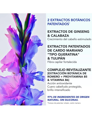 PHYTOPHANERE ULTRA SERUM LONGITUD 50ml