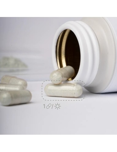 ALGEMICA HIERRO Fe Liposomado + 40 cápsula