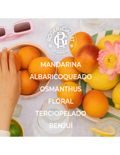 ROGER&GALLET CREMA DE MANOS FLEUR D'OSMANTHUS 30ML 2