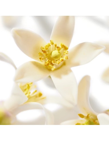 NUXE HUILE PRODIGIEUSE NEROLI  BIO 100 ML